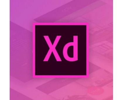 Adobe XD CC for teams 12 мес. Level 4 100+