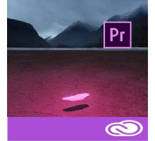 Adobe Premiere Pro CC for teams 12 мес. Level 4 100+
