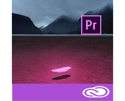 Adobe Premiere Pro CC for teams 12 мес. Level 4 100+