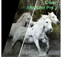 Corel AfterShot Pro 3 ML ESD EN/DE Windows/Mac/Linux